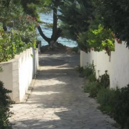 Sepcevic